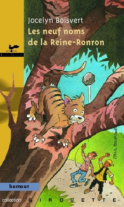 Livre Les neuf noms de la Reine-Ronron - Jocelyn Boisvert (Livre d'occasion)