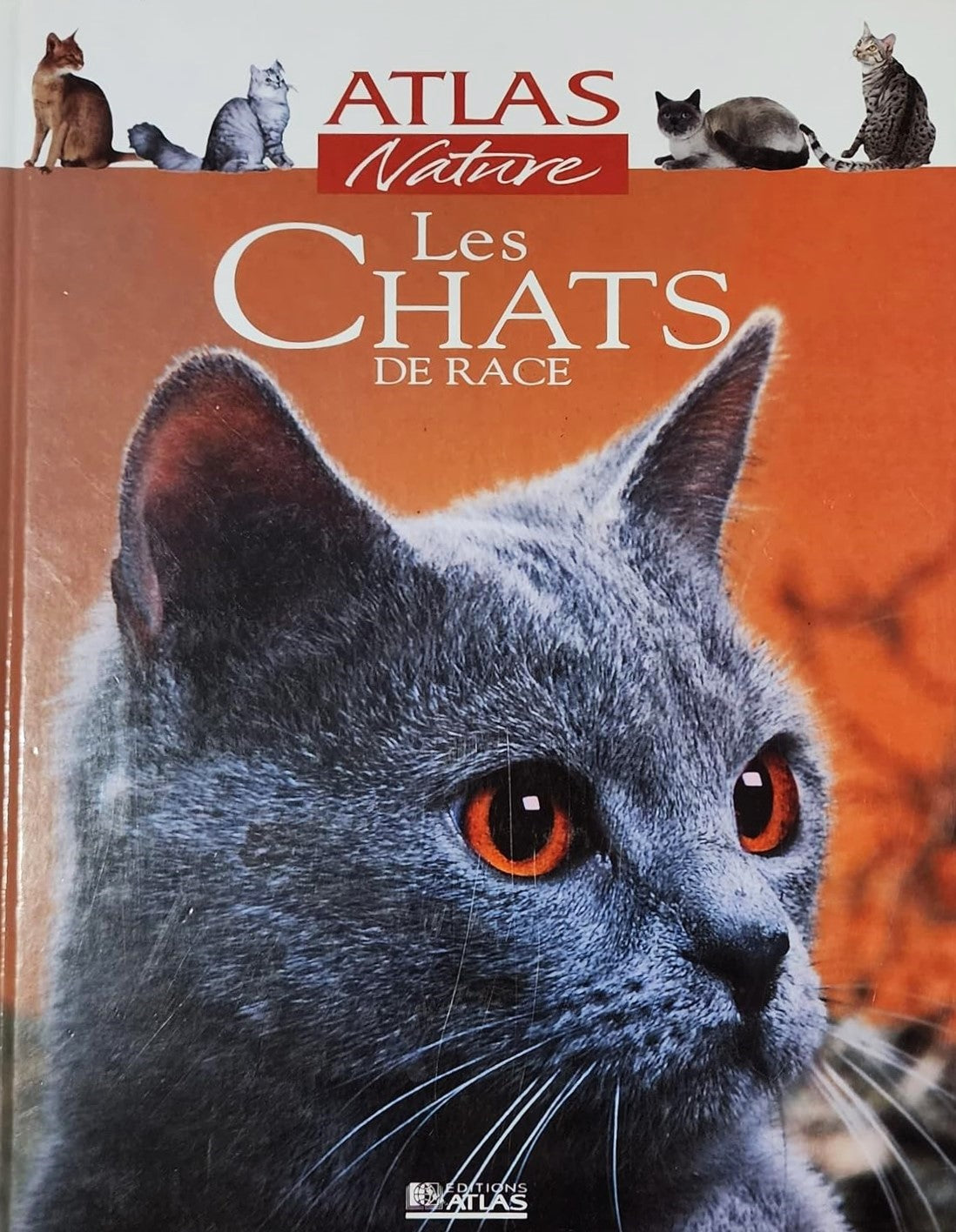Livre Atlas nature : Les chats - Collectif (Livre d'occasion) - ISBN 2895380171