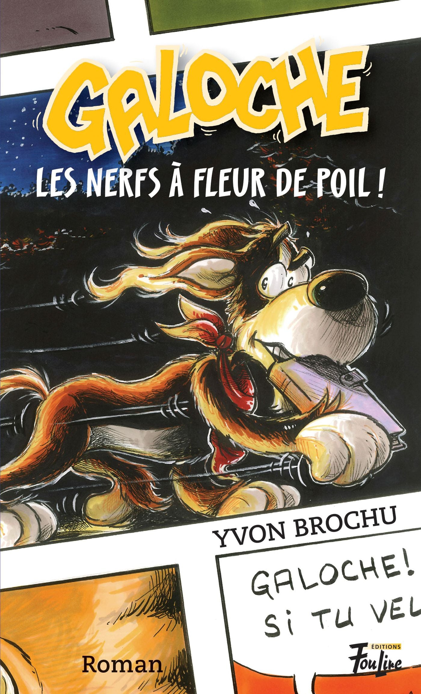 Livre ISBN 2895912602 Galoche # 16 : Les nerfs à fleur de poil! (Yvon Brochu)