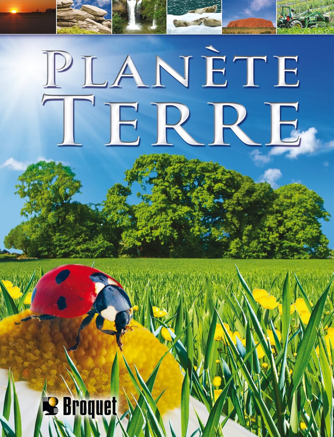 Livre Planète Terre - Amy Bauman (Livre neuf) - ISBN 2896540547