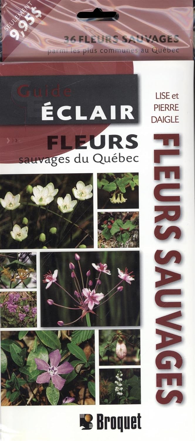 Livre Fleurs sauvages du Québec - Lise Daigle (Livre d'occasion)