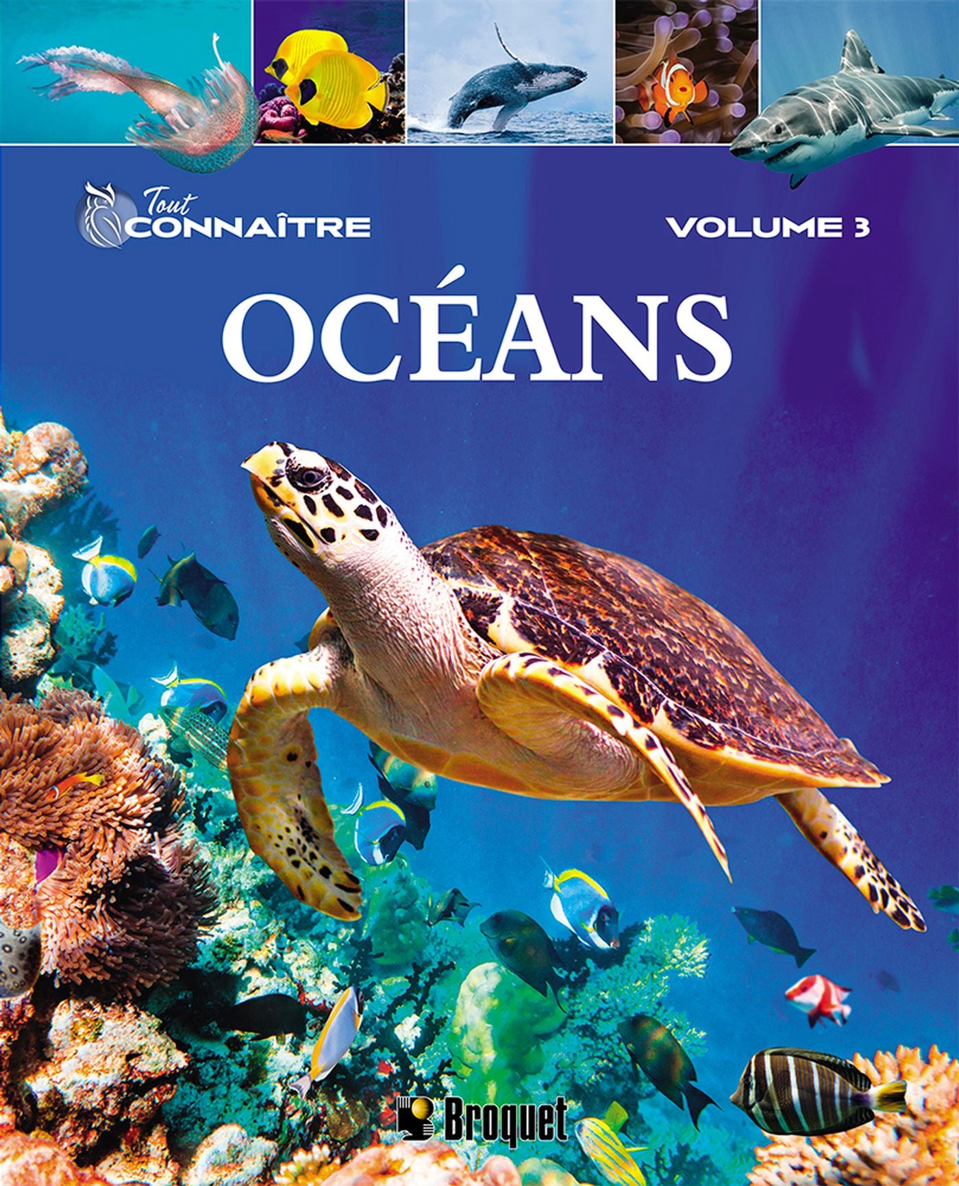 Livre ISBN 2896546480 Tout connaître # 3 : Océans (Claudia Martin)