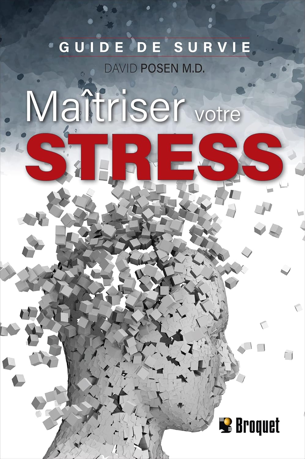 Livre Maîtriser votre stress : Guide de survie - David Posen (Livre d'occasion) - ISBN 2896547231