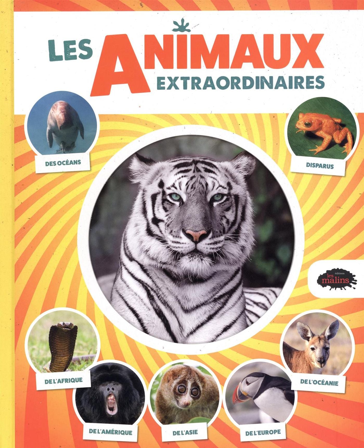 Livre Les animaux extraordinaires - Collectif (Livre d'occasion)