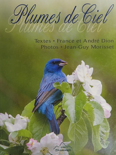 Livre Plumes de ciel (France Dion Jean-Guy Morisset André Dion) (Livre d'occasion) - ISBN 2896960112