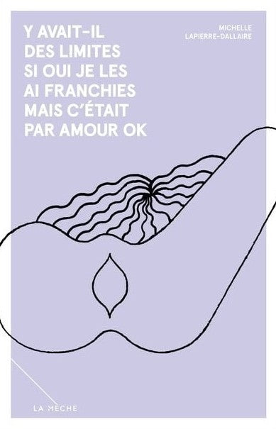 Livre Y avait-il des limites Si oui, je les ai franchies mais c'était par amour ok - Michelle Lap...