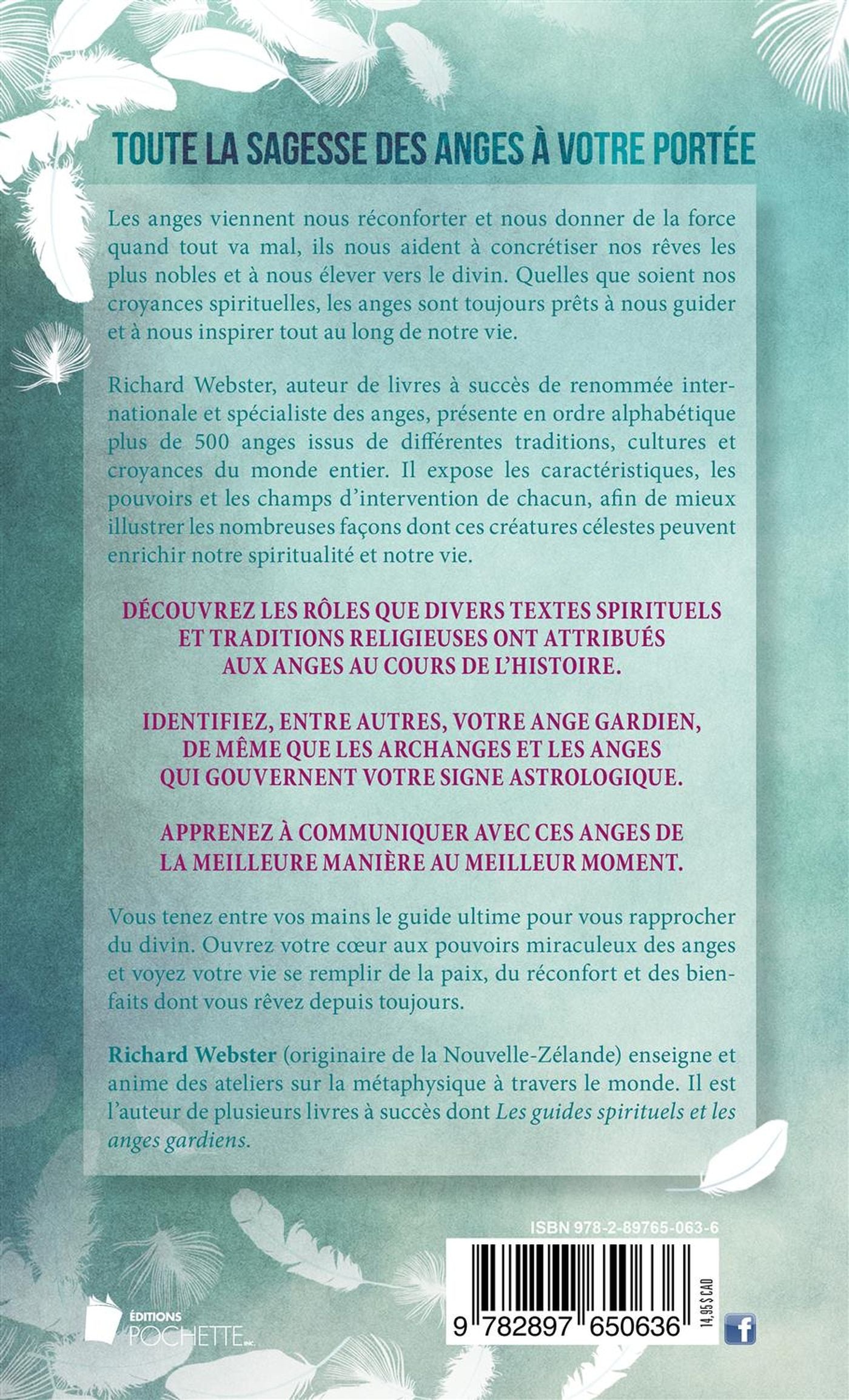 Livre Petite encyclopédie des anges - Richard Webster (Livre d'occasion) - ISBN 289765063X