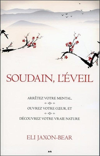 Livre Soudain, l'éveil arrêtez votre mental, ouvrez votre coeur et découvrez votre vraie nature...