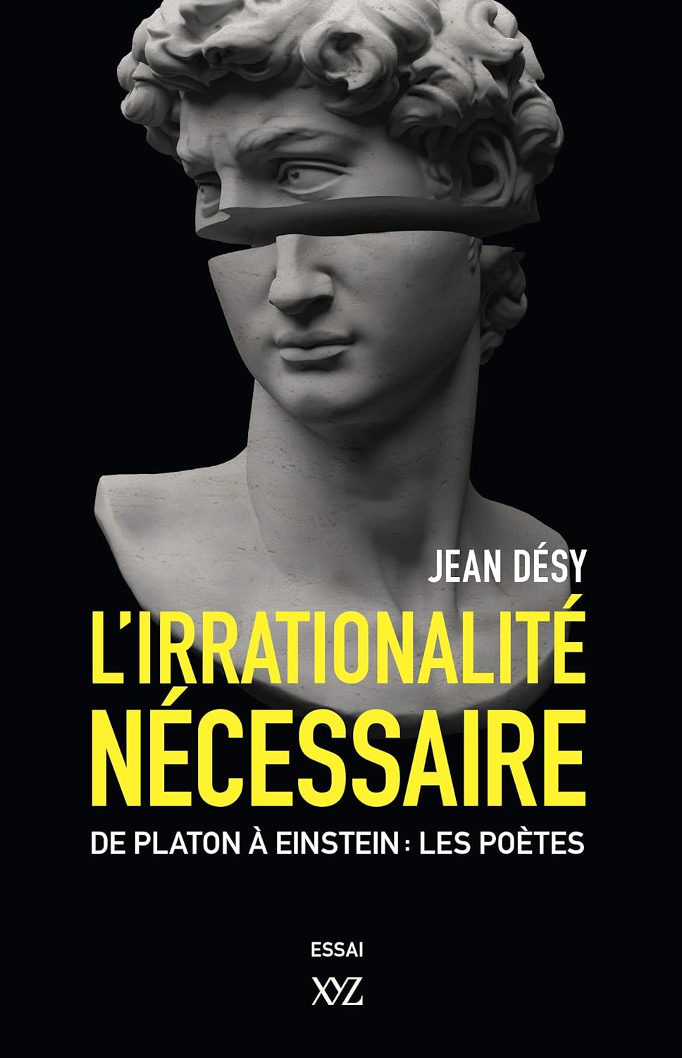 Livre L'irrationalité nécessaire : De Platon à Einstein : Les poètes - Jean Désy (Livre neuf)