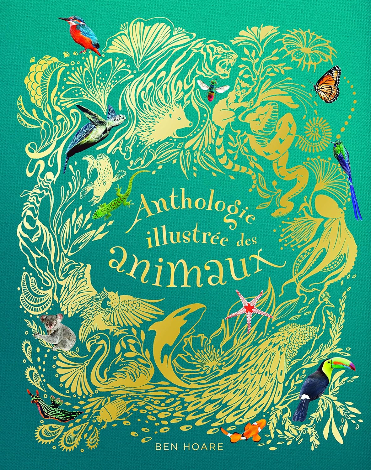 Anthologie illustrée des animaux - Ben Hoare