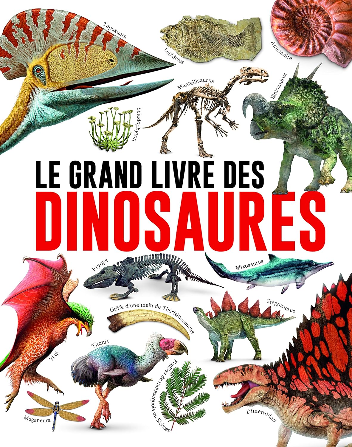 Livre Le grand livre des dinosaures (Livre d'occasion) - ISBN 2897813415
