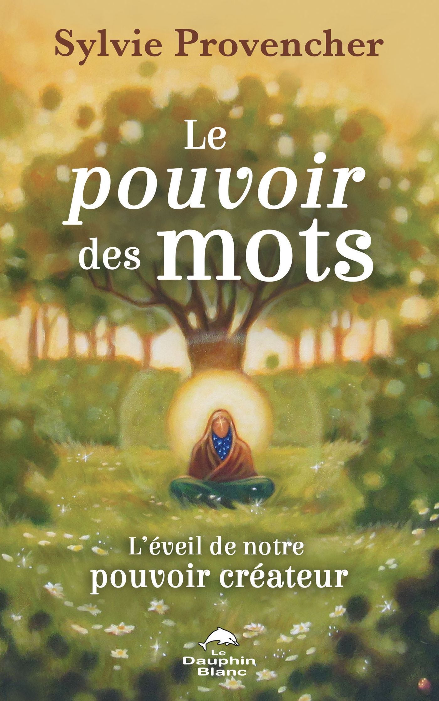 Livre Le pouvoir des mots : L'éveil de notre pouvoir créateur (Sylvie Provencher) (Livre neuf) -...