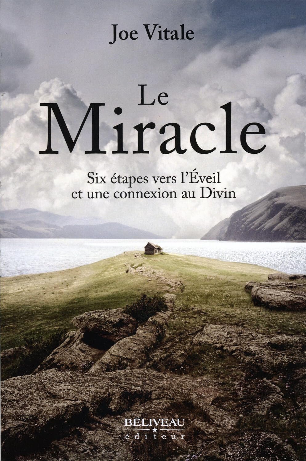 Livre Le Miracle : Six étapes vers l'Éveil et une connexion au Divin - Joe Vitale (Livre d'occasion)