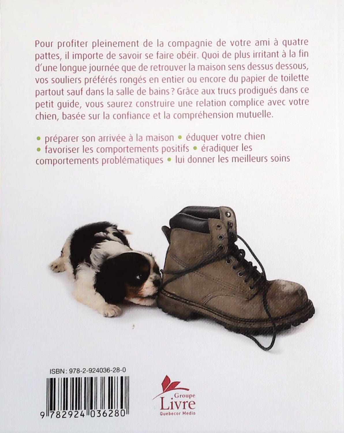 Livre Un chien bien élevé - Caroline Davis (Livre d'occasion)
