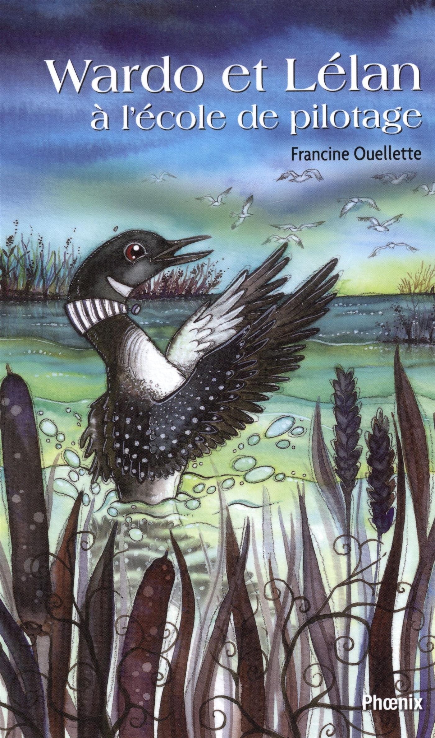Livre Wardo et Lélan à l'école de pilotage - Francine Ouellette (Livre d'occasion)
