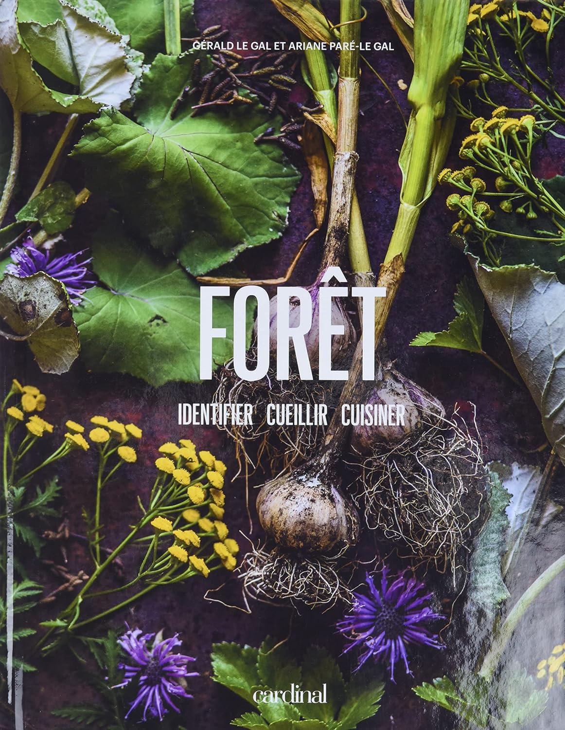 Livre Forêt : Identifier, cueillir, cuisiner (Ariane Paré-Le Gal, Gérald Paré-Le Gal) (Livre...