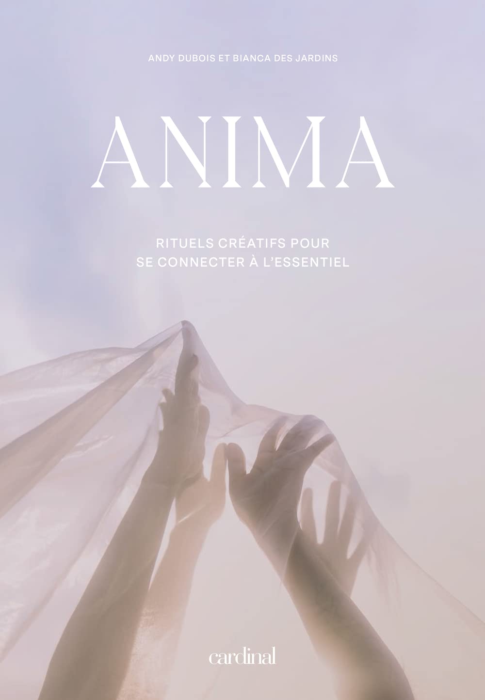 Livre Anima : Rituels créatifs pour se connecter à l'essentiel - Andy Dubois (Livre d'occasion)