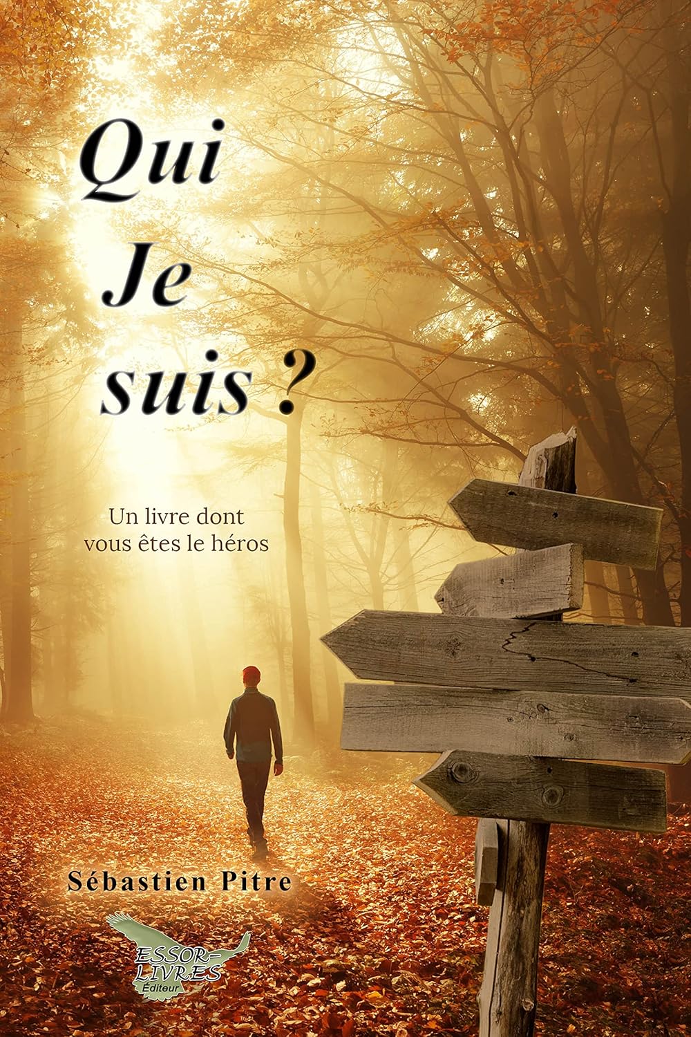 Qui je suis? : Un livre dont vous êtes le héros - Sébastien Pitre