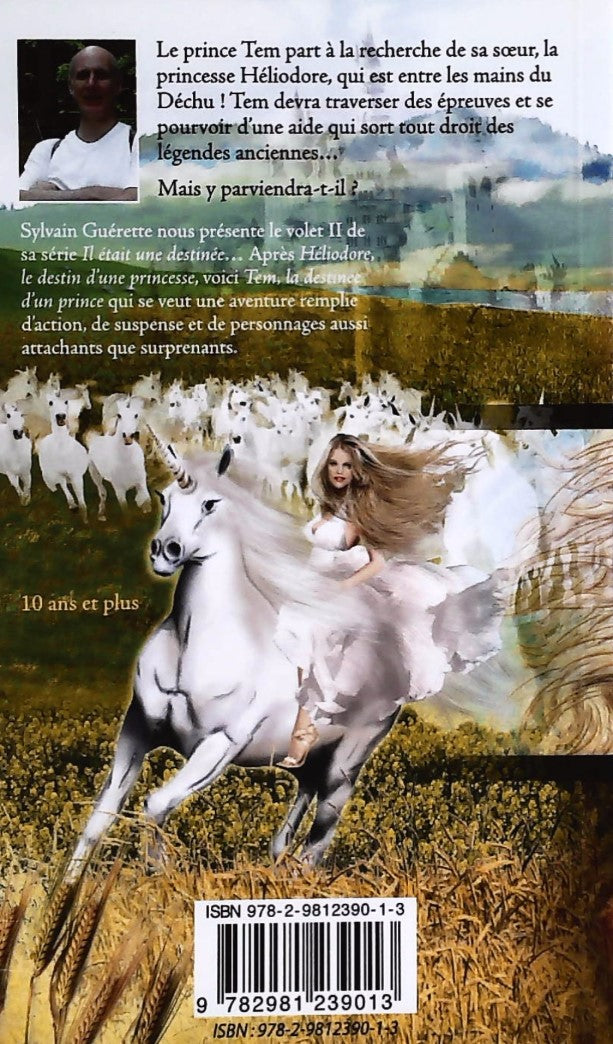 Livre Tem - Sylvain Guérette (Livre d'occasion)