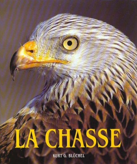 Livre La chasse - Kurt G. Bluchel (Livre d'occasion) - ISBN 3829015615