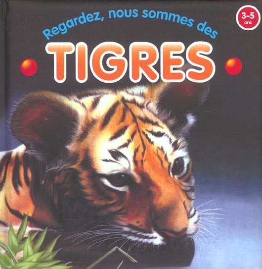 Livre Regardez, nous sommes des tigres - Molly Grooms (Livre d'occasion) - ISBN 9058433978