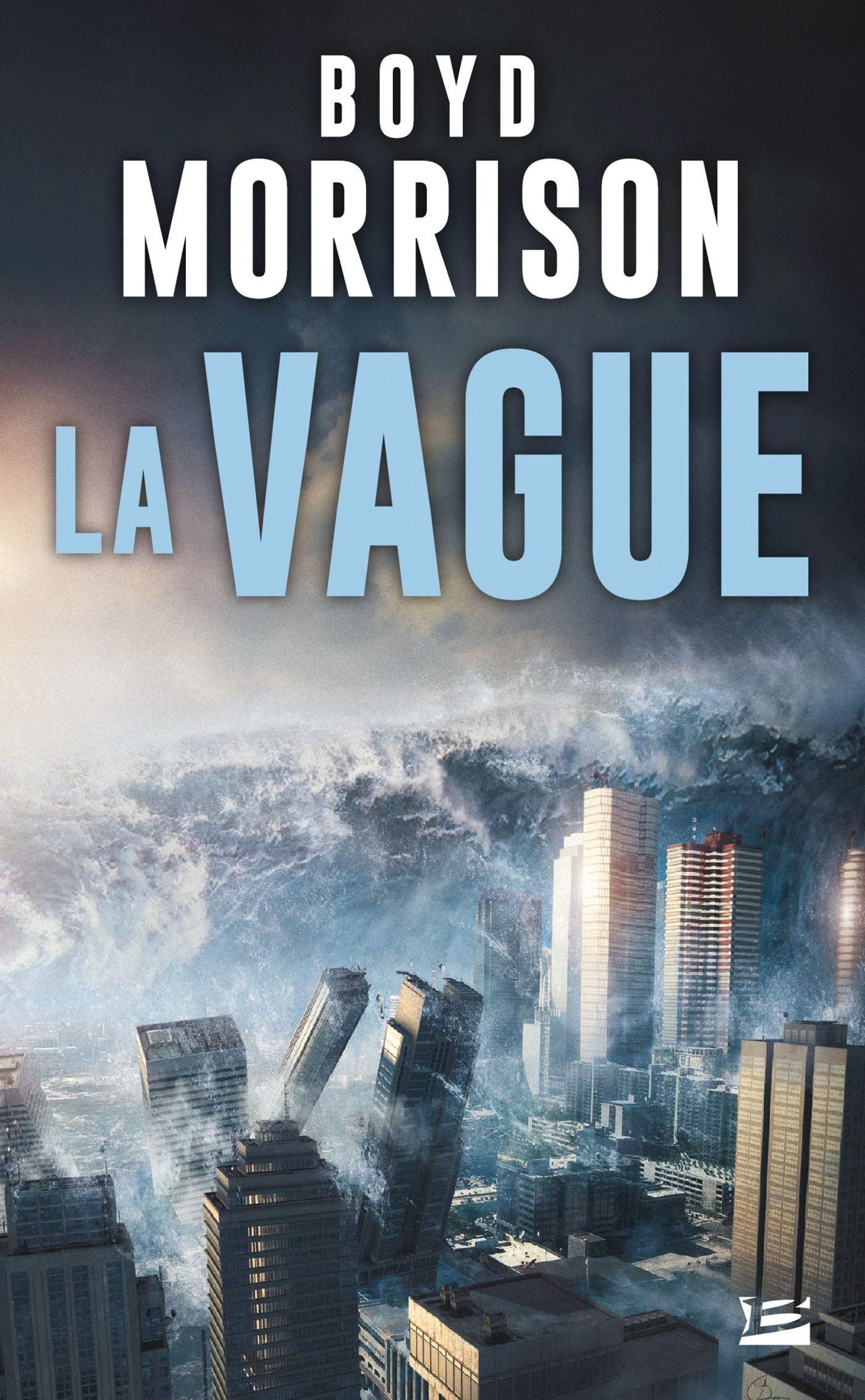 Livre La vague - Boyd Morrison (Livre d'occasion)