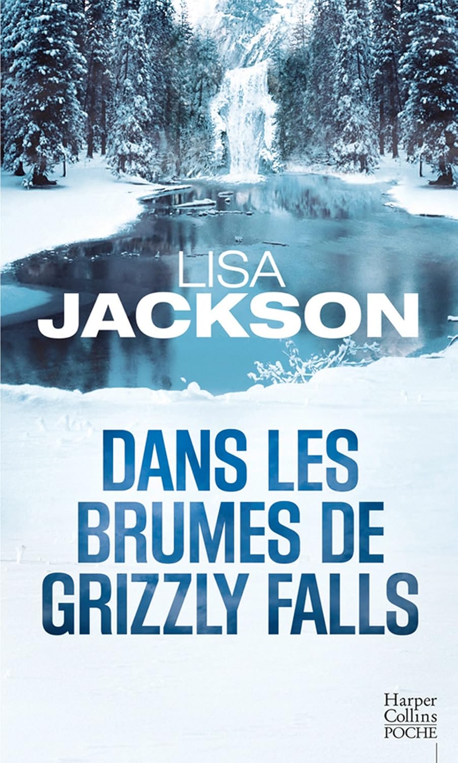 Livre Dans les brumes de Grizzly Falls - Lisa Jackson (Livre d'occasion)