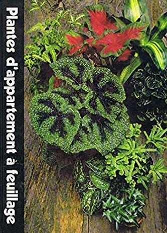 Livre Plantes d'appartement à feuillage (Livre d'occasion) - ISBN 2734404702