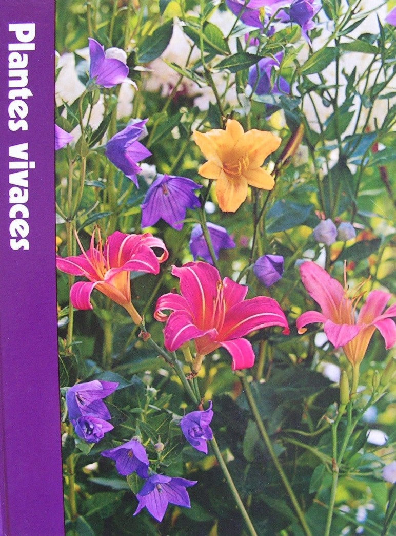 Livre Plantes vivaces (Livre d'occasion)