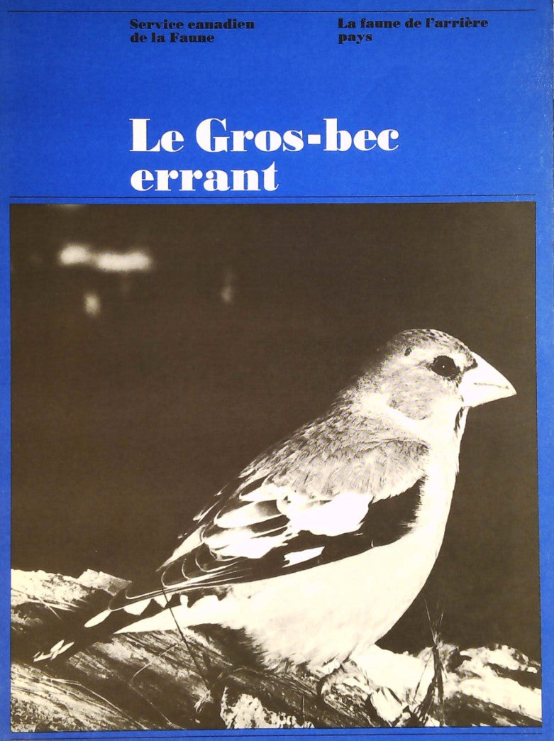 La faune de l'arrière pays : Le gros-bec errant - Service canadien de la Faune