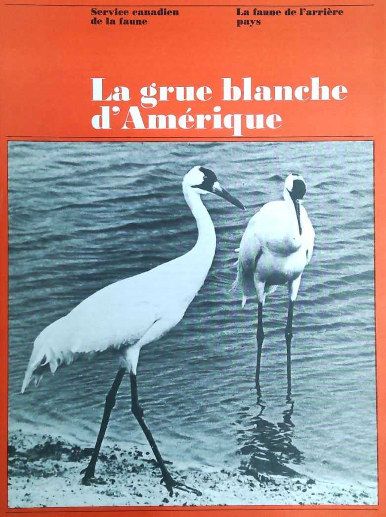 La faune de l'arrière pays : La grue blanche d'Amérique - Service canadien de la Faune