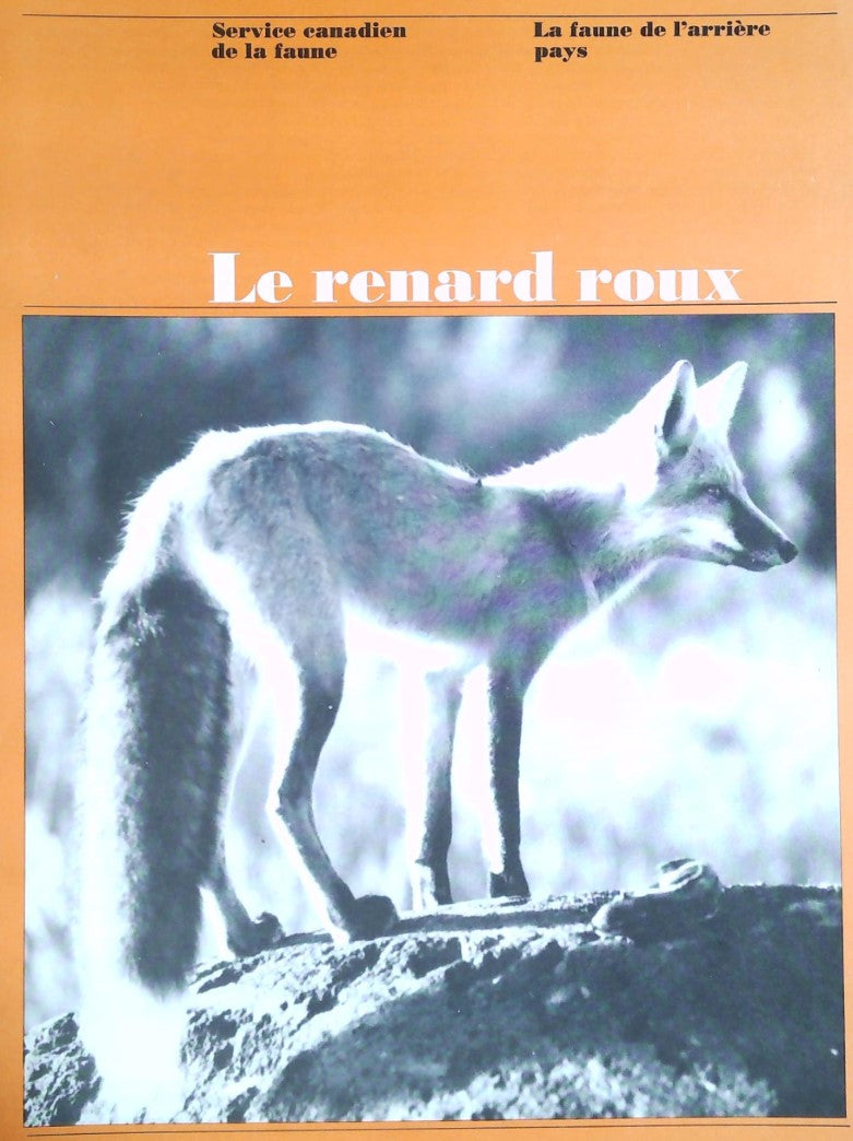 La faune de l'arrière pays : Le renard roux - Service canadien de la Faune