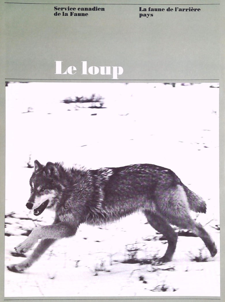 La faune de l'arrière pays : Le loup - Service canadien de la Faune