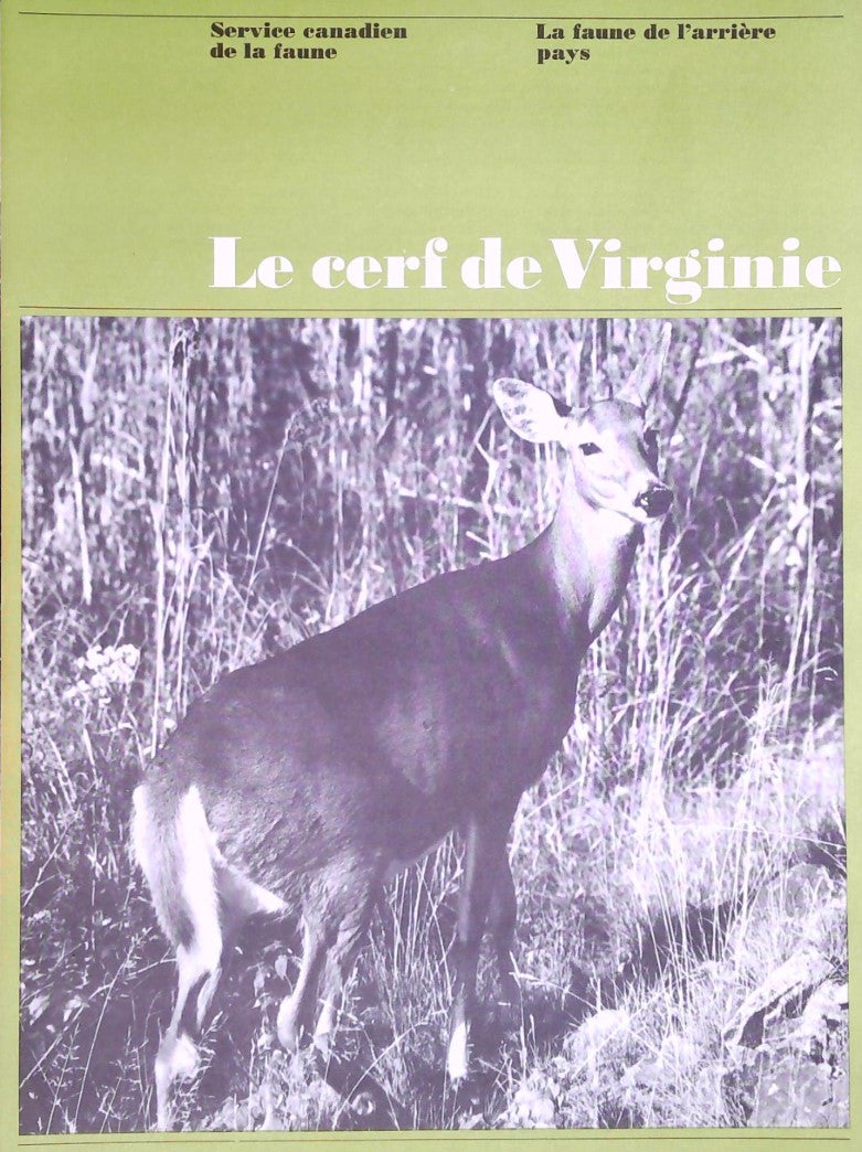 La faune de l'arrière pays : Le cerf de Virginie - Service canadien de la Faune