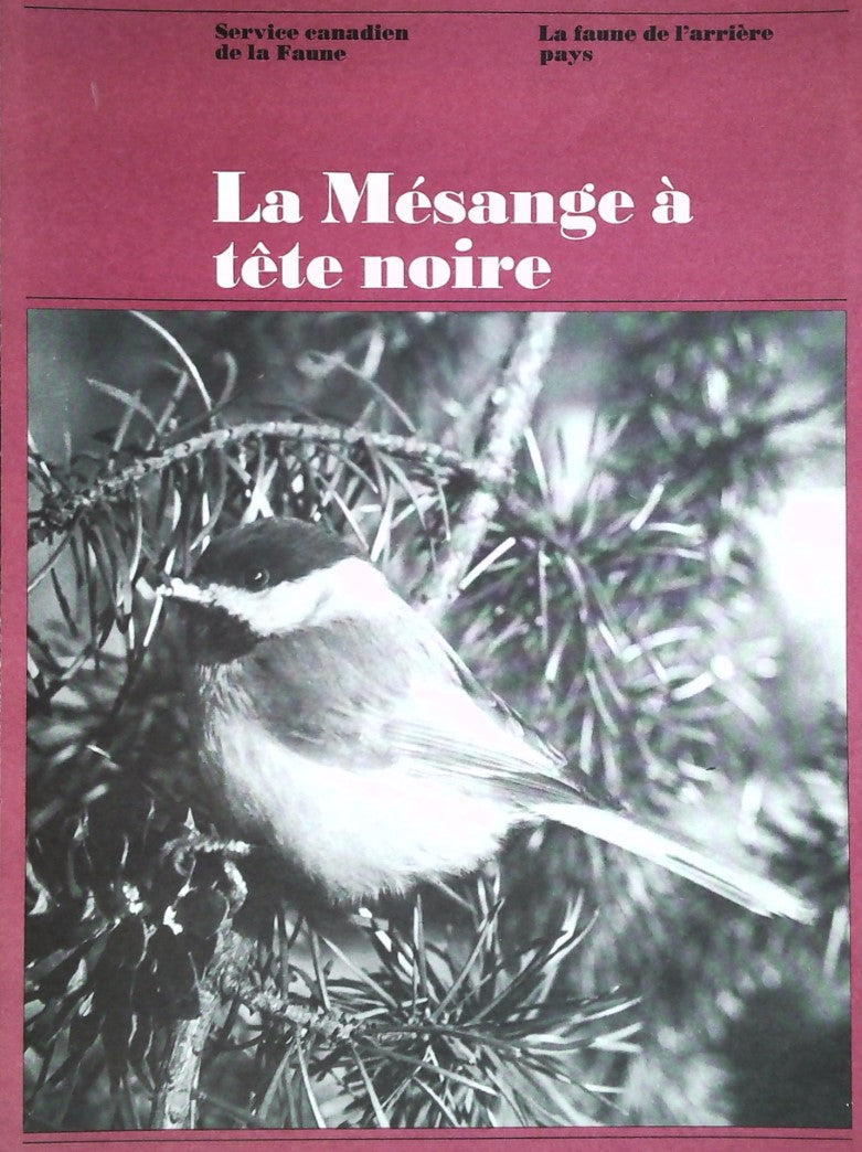 La faune de l'arrière pays : La mésange à tête noire - Service canadien de la Faune