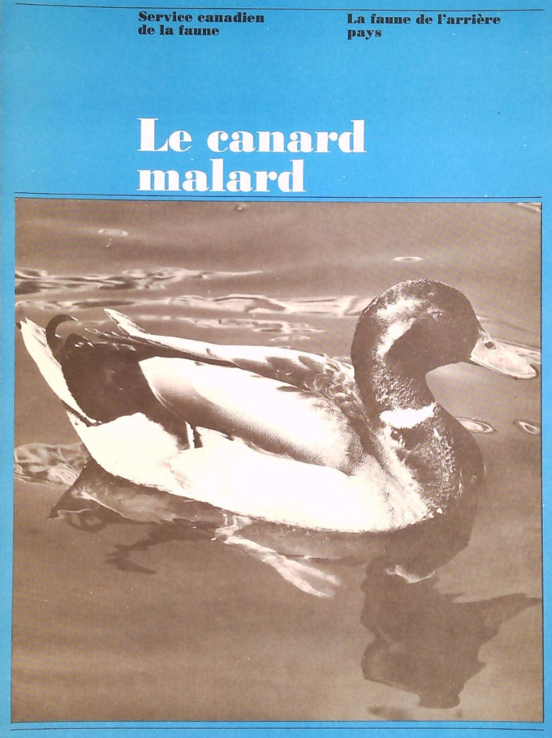 La faune de l'arrière pays : Le canard malard - Service canadien de la Faune