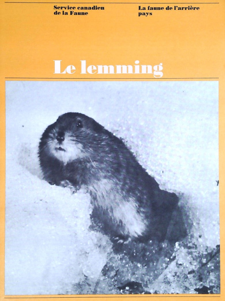 La faune de l'arrière pays : Le lemming - Service canadien de la Faune