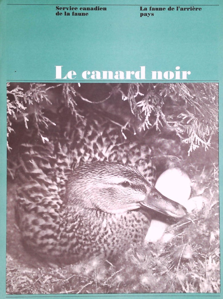 La faune de l'arrière pays : Le canard noir - Service canadien de la Faune