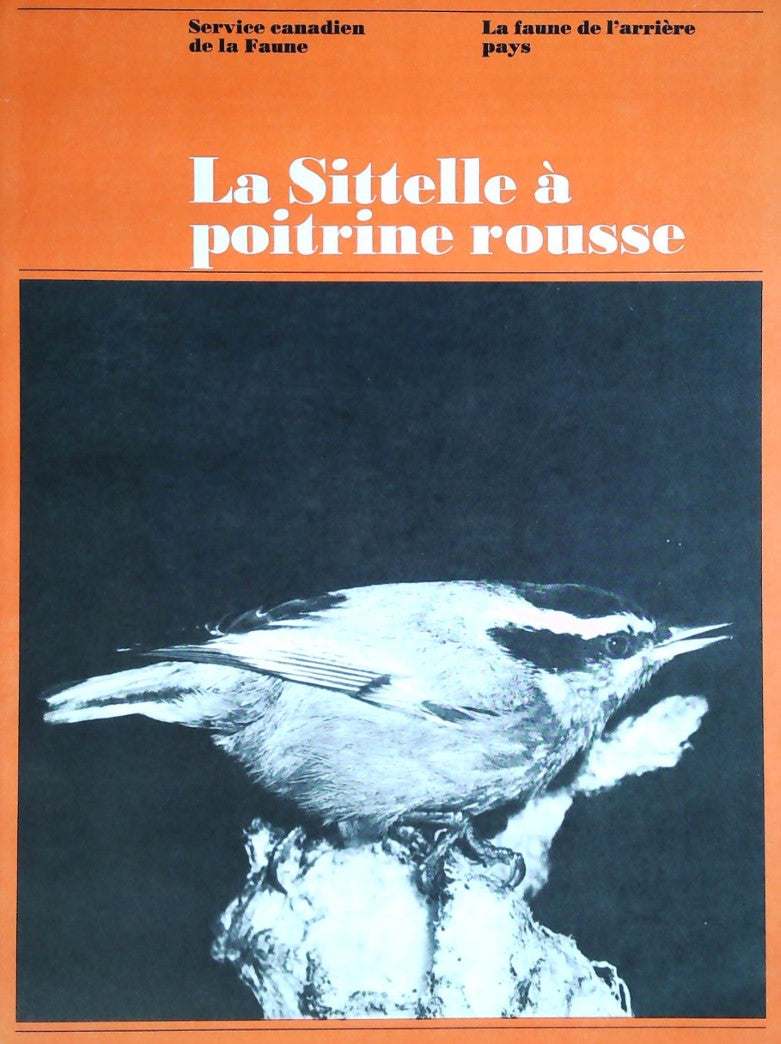 La faune de l'arrière pays : La sitelle à poitrine rousse - Service canadien de la Faune