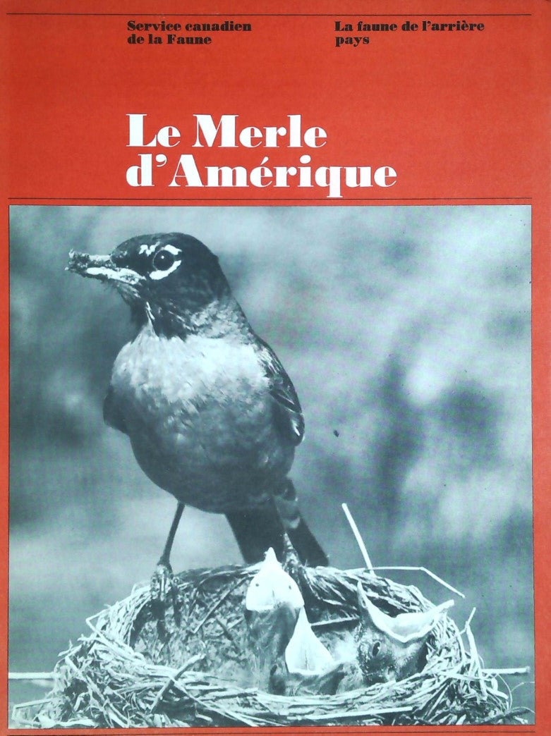 La faune de l'arrière pays : Le merle d'Amérique - Service canadien de la Faune