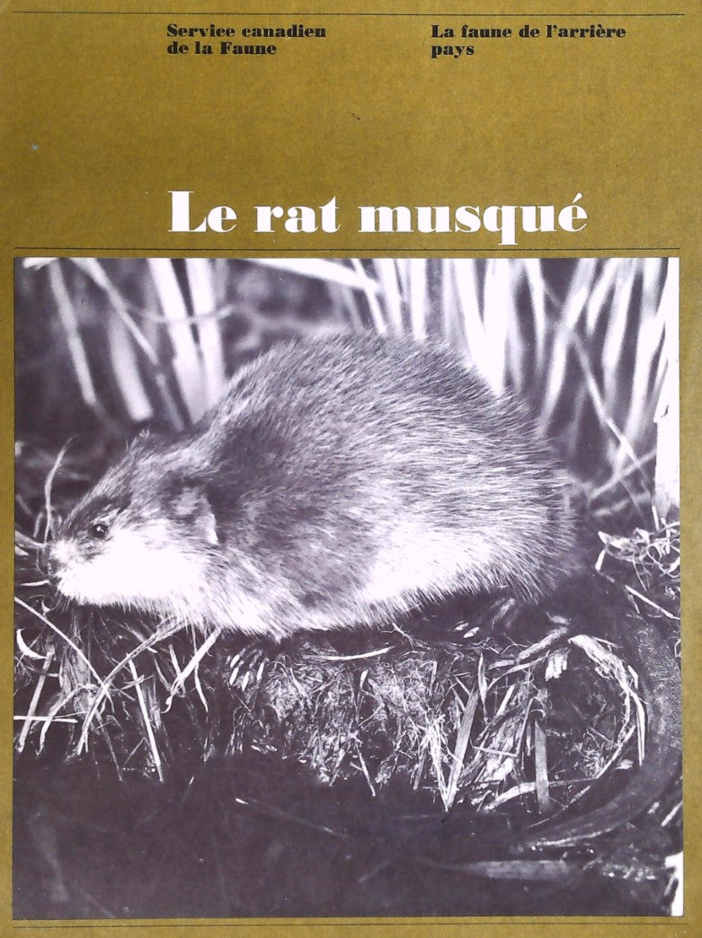 La faune de l'arrière pays : Le rat musqué - Service canadien de la Faune