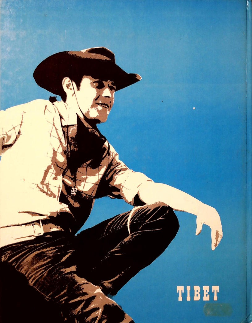 Livre Les disparus du Mirific - Tibet (Livre d'occasion)