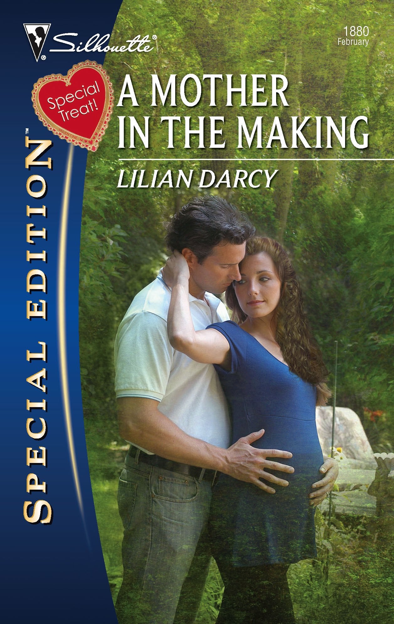 Livre ISBN 0373248806 A Mother In The Making (Lilian Darcy)