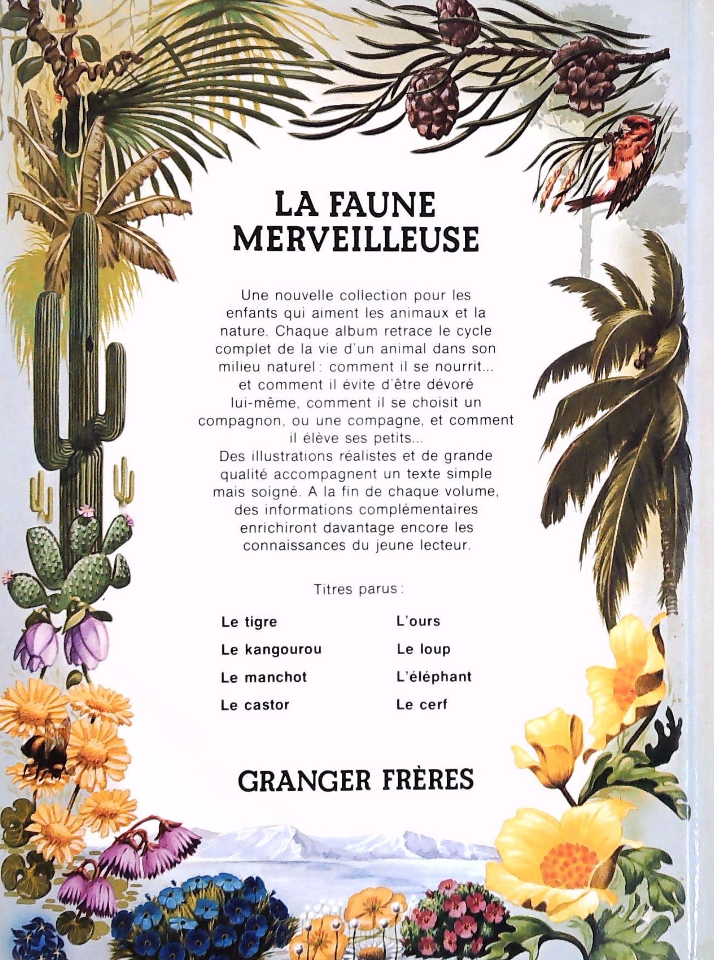 La faune merveilleuse : Le Kangourou
