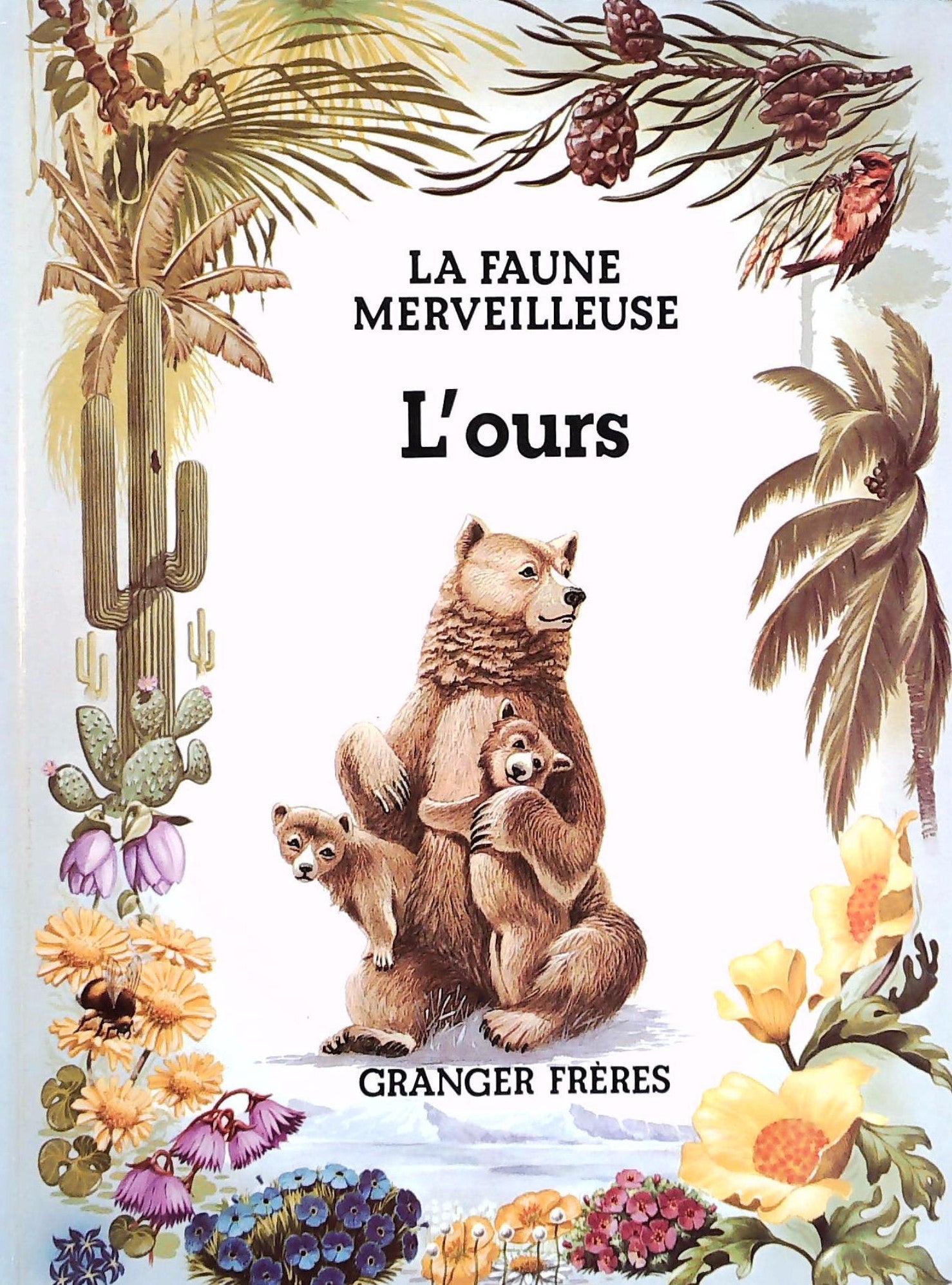 Livre ISBN 0885512324 La faune merveilleuse : L'ours