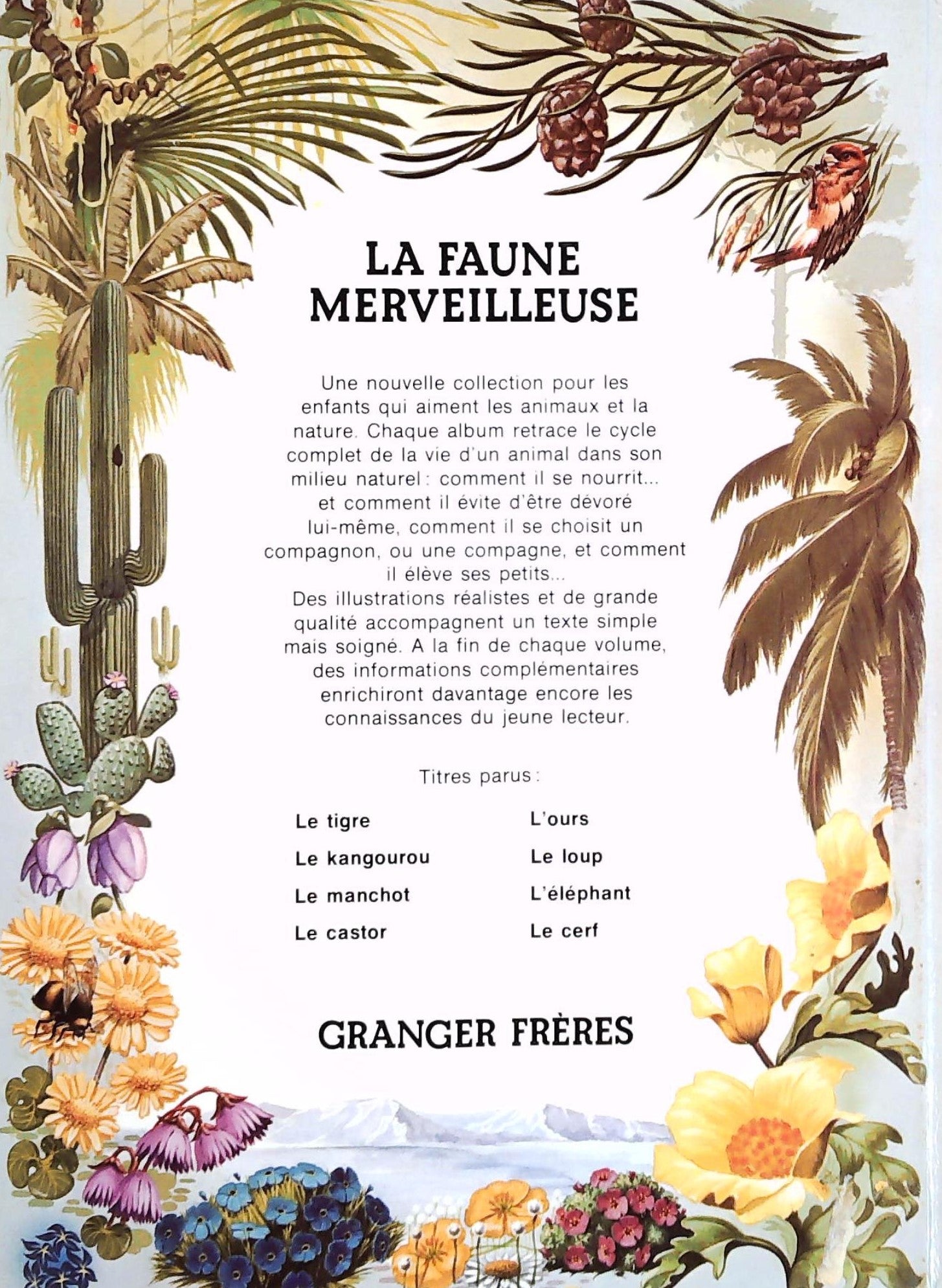La faune merveilleuse : L'ours