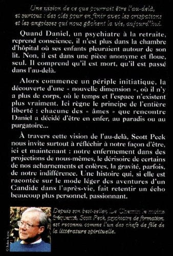 Les aventures de l'esprit : Au ciel comme sur la terre (Scott Peck)