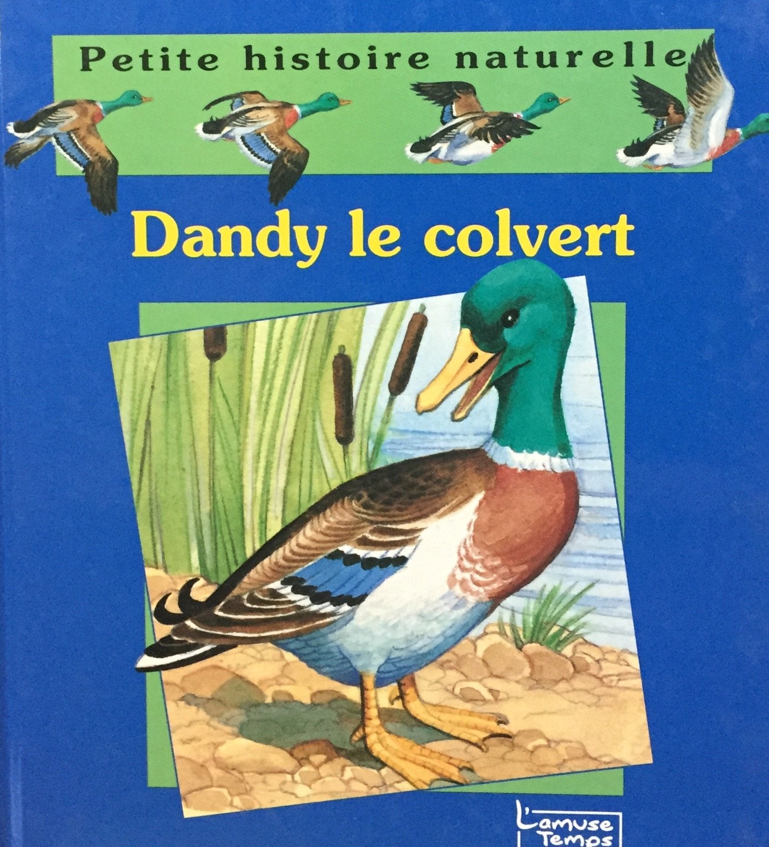 Livre ISBN 2237001790 Petite histoire Naturelle : Dandy le colvert