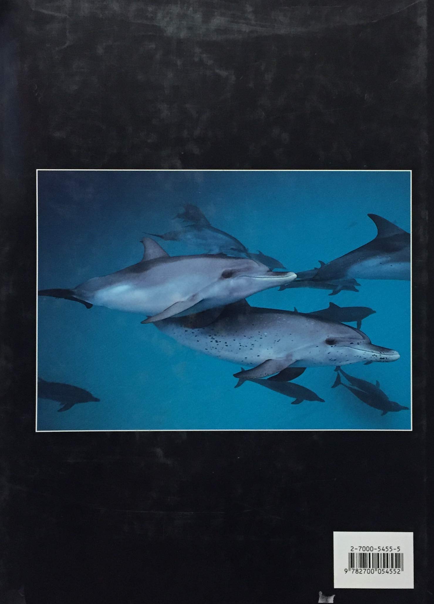 Géants de la mer : baleines, orques et dauphins (Gaetano Cafiero)