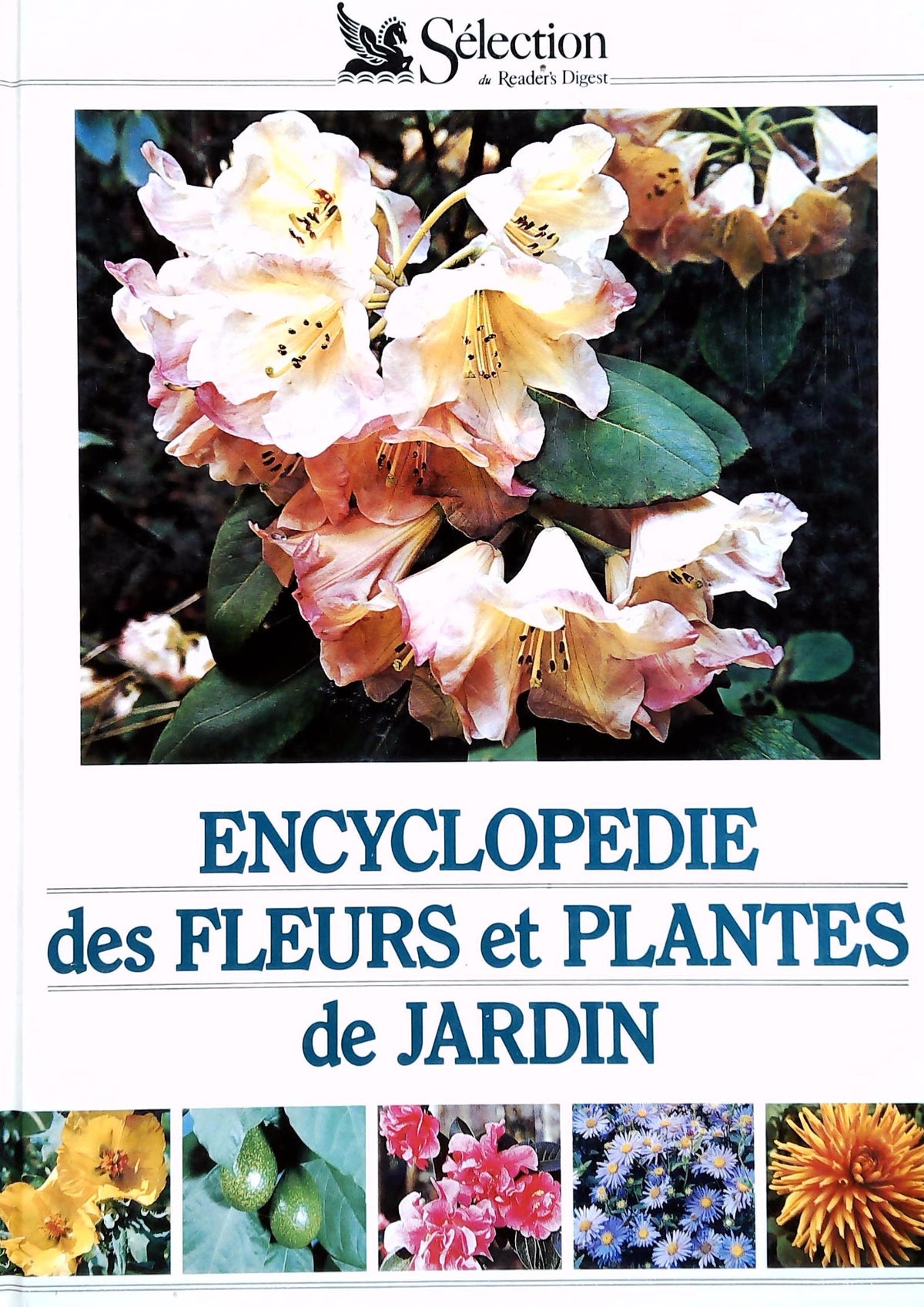 Livre ISBN 2709803380 Encyclopedie des fleurs et plantes de jardin